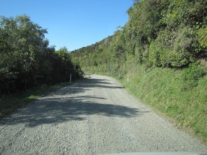 Mahia - Lake Waikaremoana - Gisborne-011